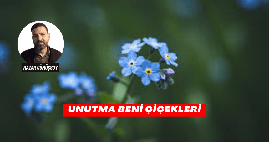 UNUTMA BENİ ÇİÇEKLERİ